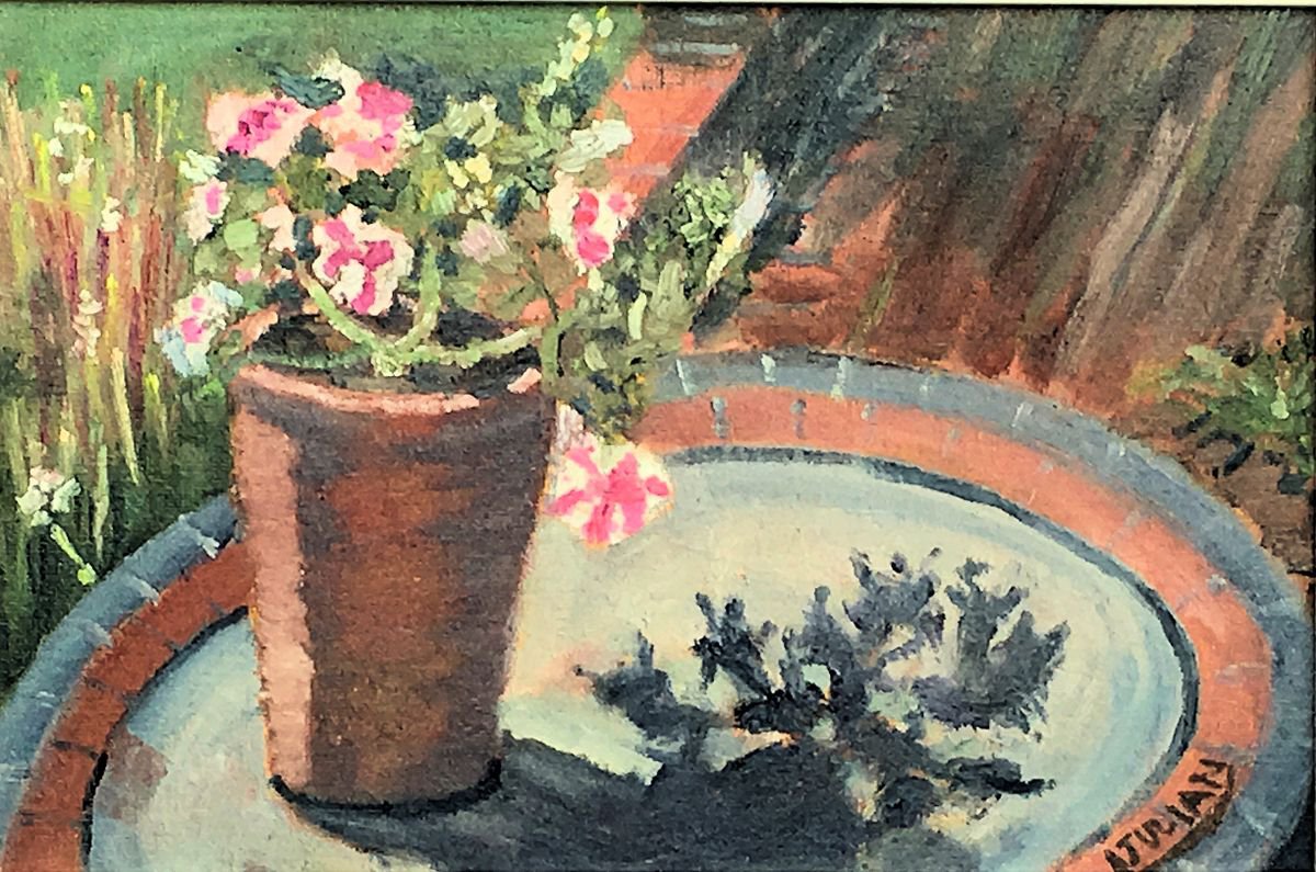 Pot plant and shadows in the garden - An original oil painting. by Julian Lovegrove Art