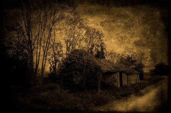 Roadside Barn