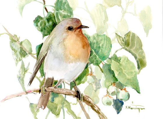 Robin Bird on Lden Tree