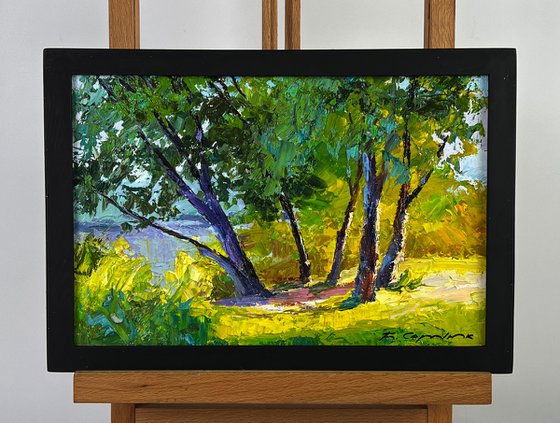 Summer Forest Glade