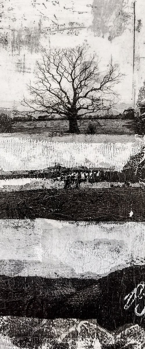 Manifest by Roseanne Jones