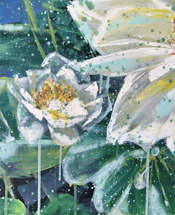 Be Here And Now - White Lotus Flowers in a Pond By HSIN LIN