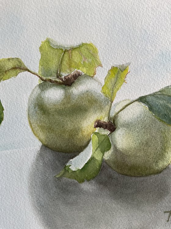Two green apples
