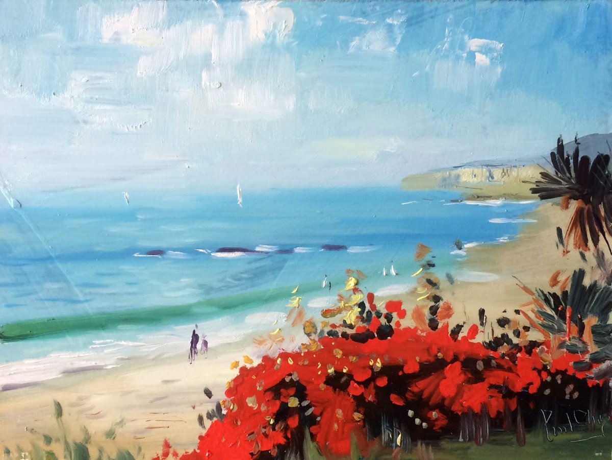 Laguna Beach and Blue Sky by Paul Cheng