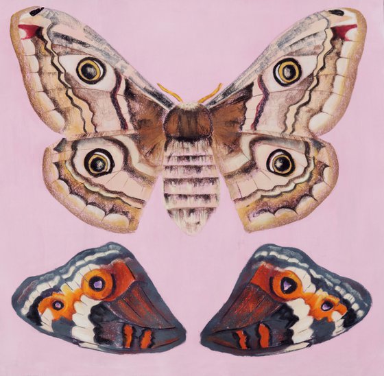 Saturnia pyri (the giant peacock moth) Painting