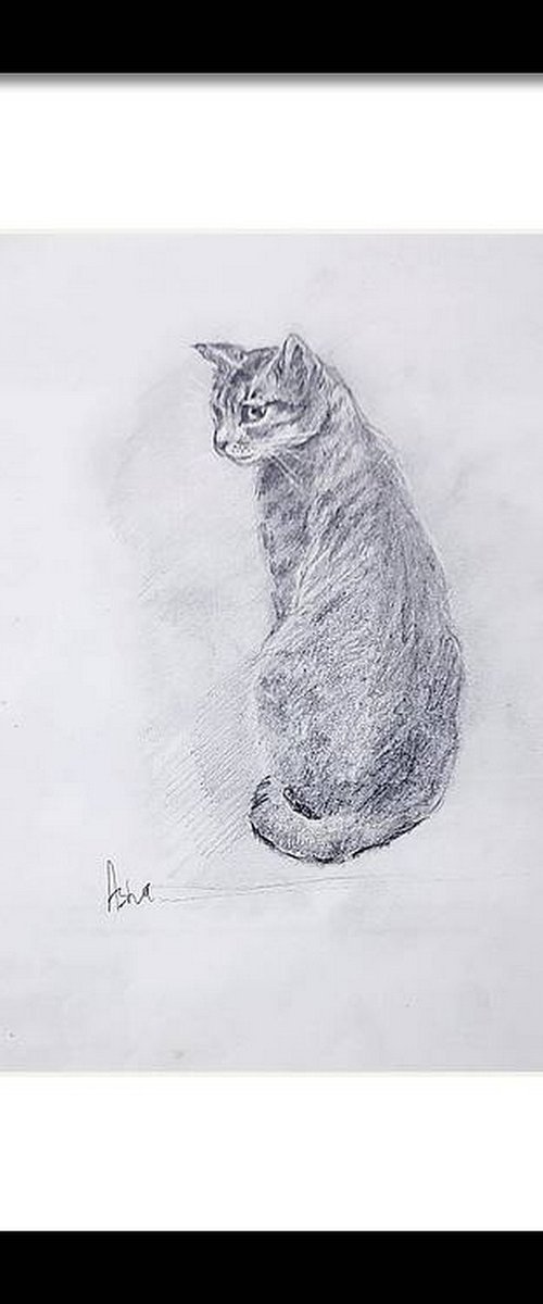 Kaveri, the Tabby Cat by Asha Shenoy