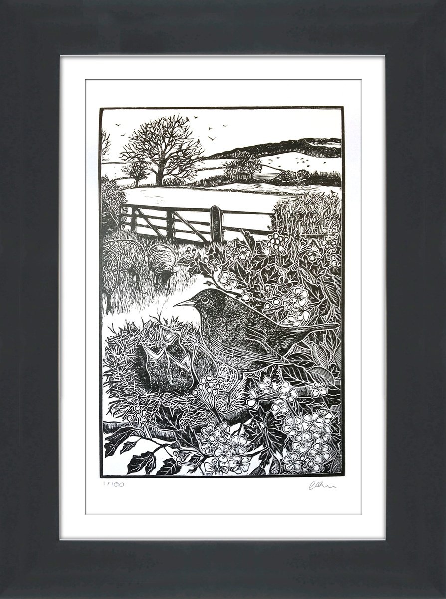 Expressive Animal Linocut By Carolynne Coulson, 14 X 19, The Blackbird