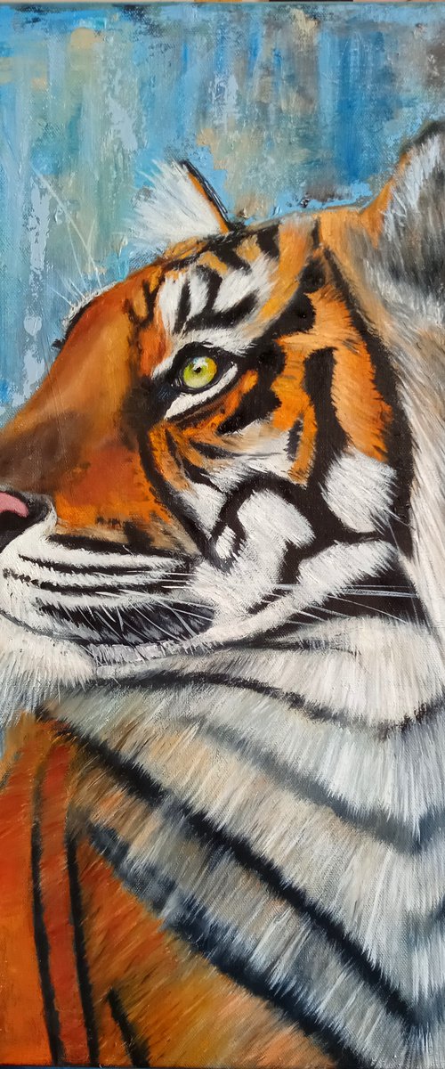 Tiger by Ira Whittaker