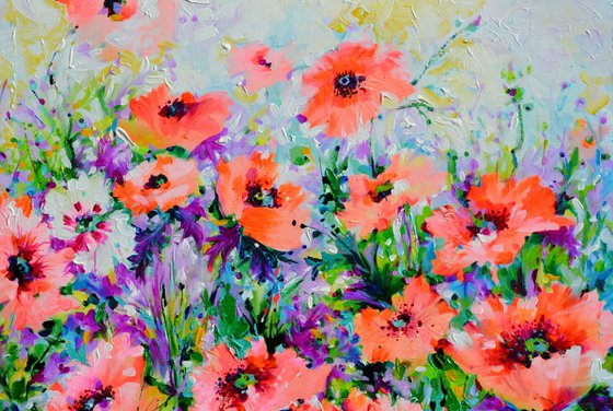 Oriental Poppies - Concert in Pink and Orange