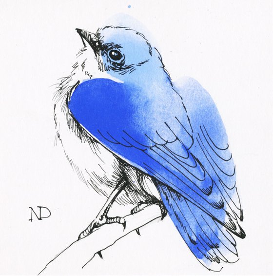 Bluebird drawing framed 4x4, Original ink line drawing sketch bird in framed artwork, Shelf decor ideas gift