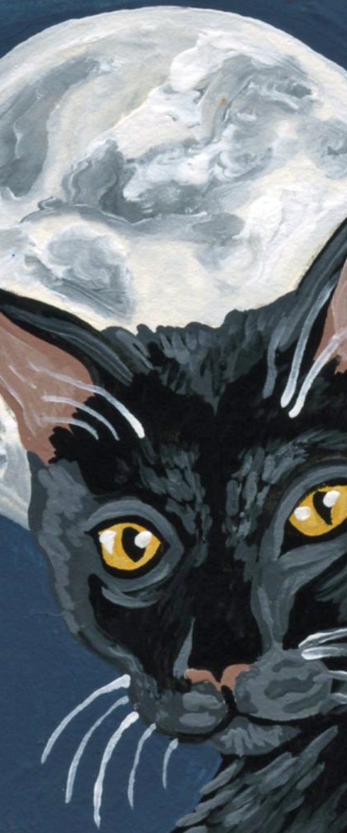 Halloween Black Cat by Carla Smale