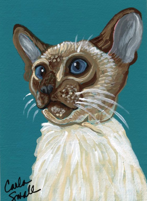 Siamese Cat