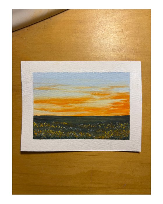 Blumenwiese im Abendrot - Miniature Art