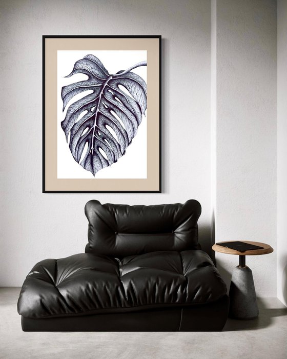 SINGLE MONSTERA LEAF
