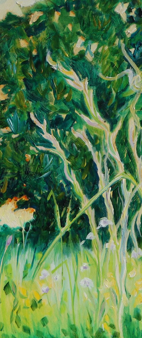 Trees That Protect by Mary Kemp