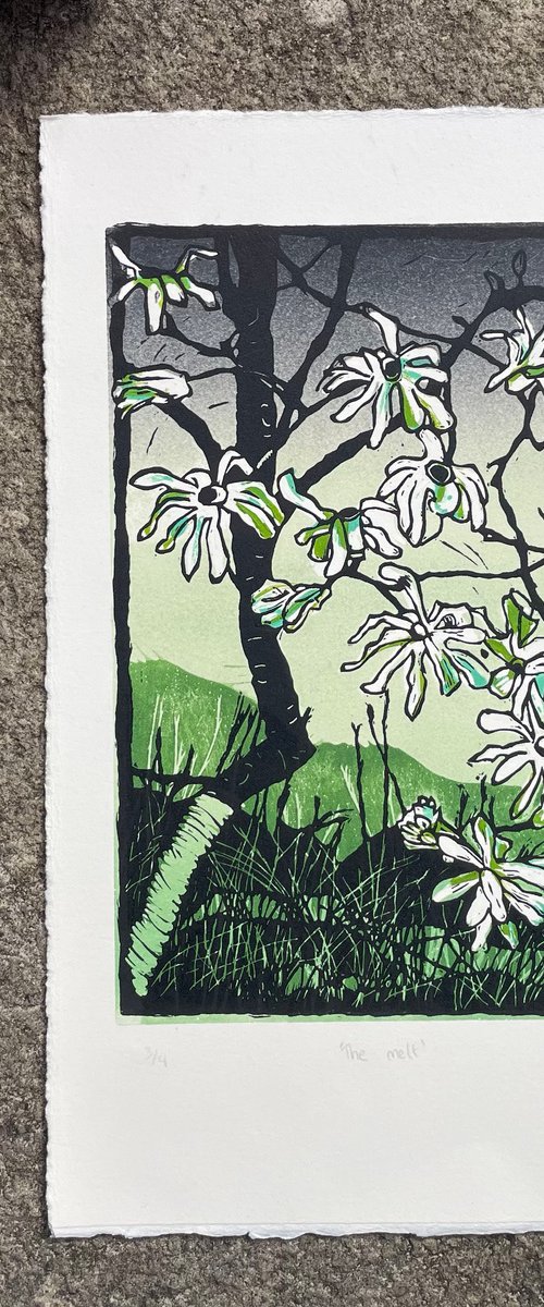 The Melt - Magnolia Linocut by C Staunton