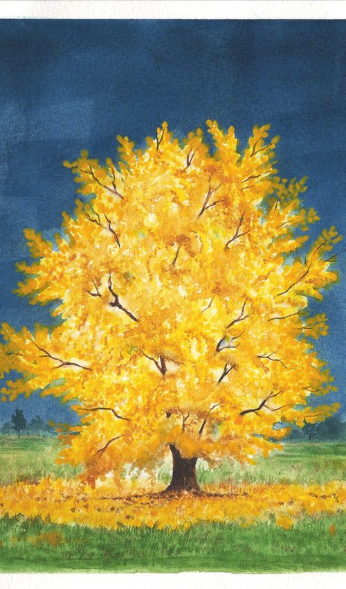 Ginkgo Biloba by Shweta  Mahajan