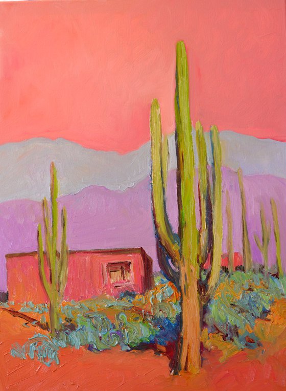 Pink House and Saguaros