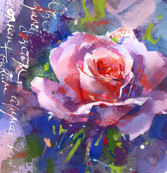 "Carnival Melody" brightly coloured rose sketch series "Letters from the Garden"