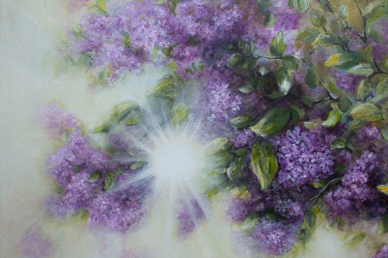 Sunny Lilac