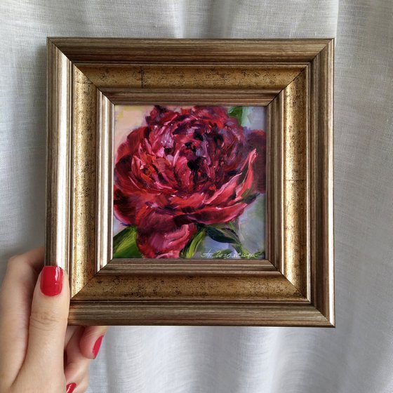 Red peony