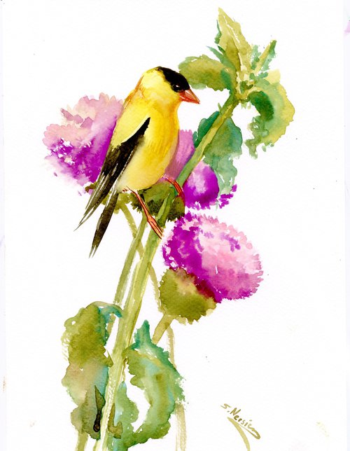 American Goldfinch by Suren Nersisyan