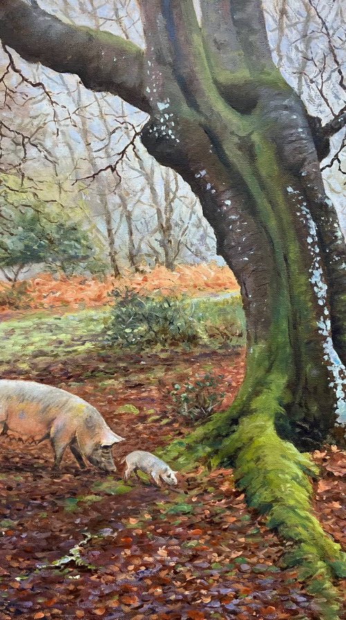 Ridley Wood Beech and Pigs by Peter Frost