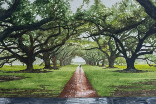 Avenue of Oaks, Oak Alley Plantation, Vacherie, Louisiana by Sue Cook