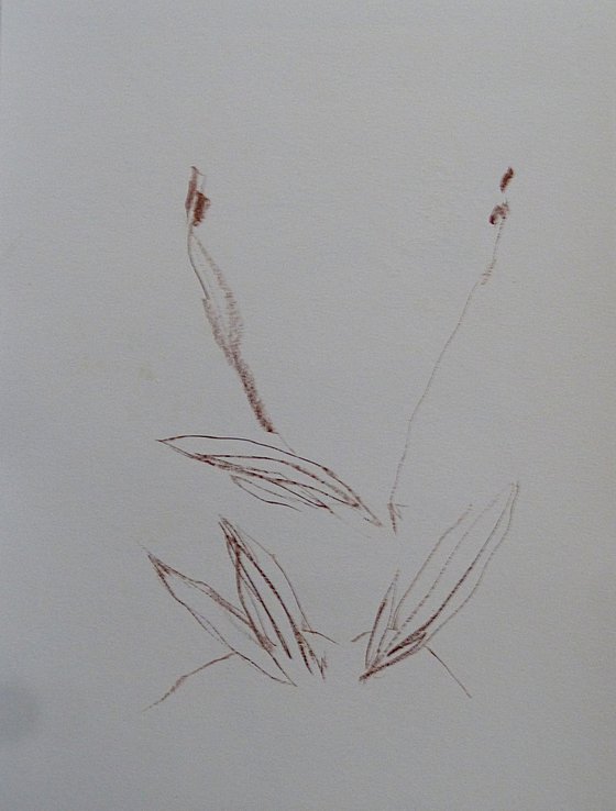 Autumnal Portrait 9, 24x32 cm