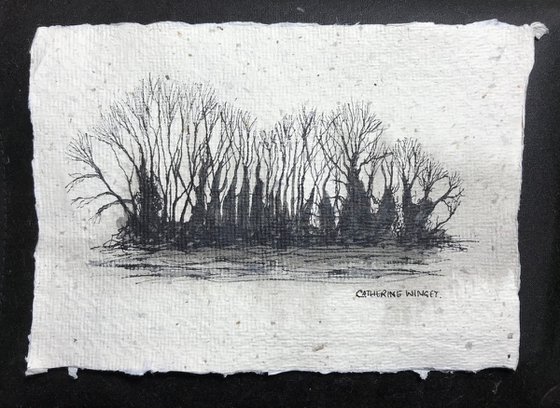 Winter Trees against the Sky in Pen and Ink - Traditional English Landscape -  Flitcham, Norfolk