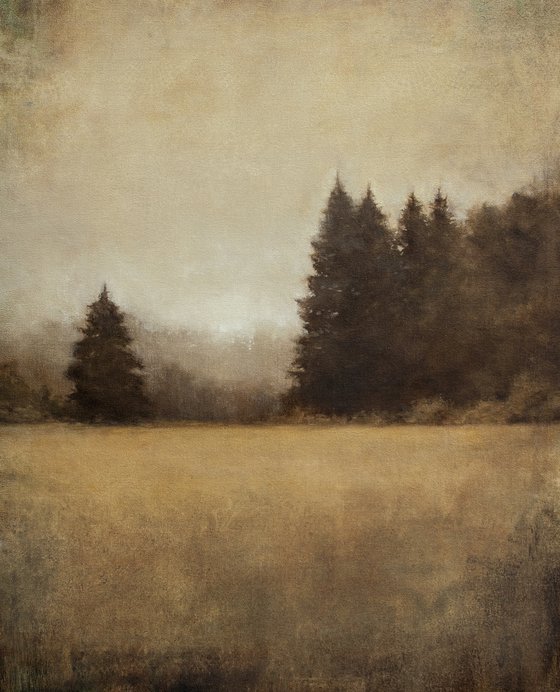 Summer Field 210915, forest trees tonal landscape