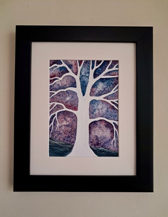 Quiet Calmness + Light in the Storminess