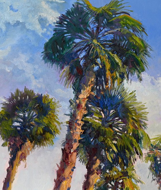 Palm Trees in California