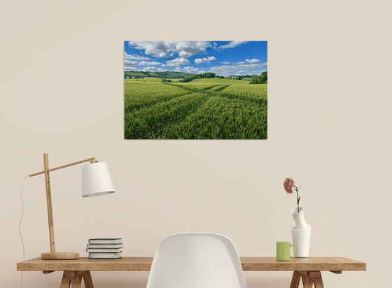 Sea of Wheat