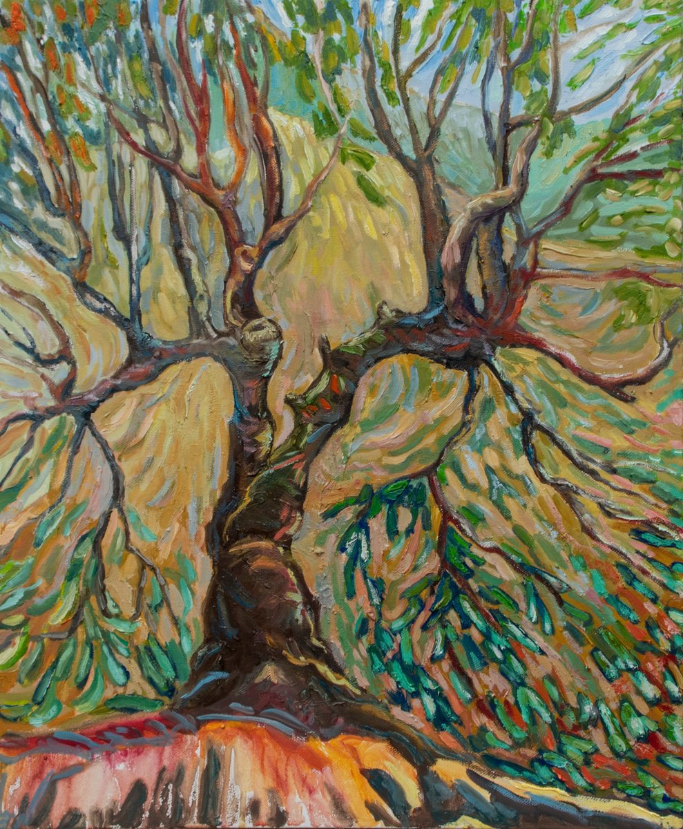 Impressionistic Landscape Oil Painting By Lilit Vardanyan, 20 X 24", An ?ld Tree, Original Artwork