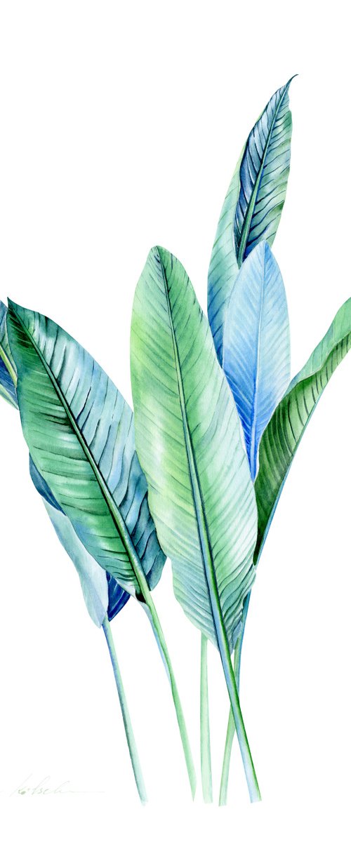 Blue Tropical leaves by Olga Koelsch