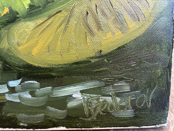 Water Lilies in the Sunlight
