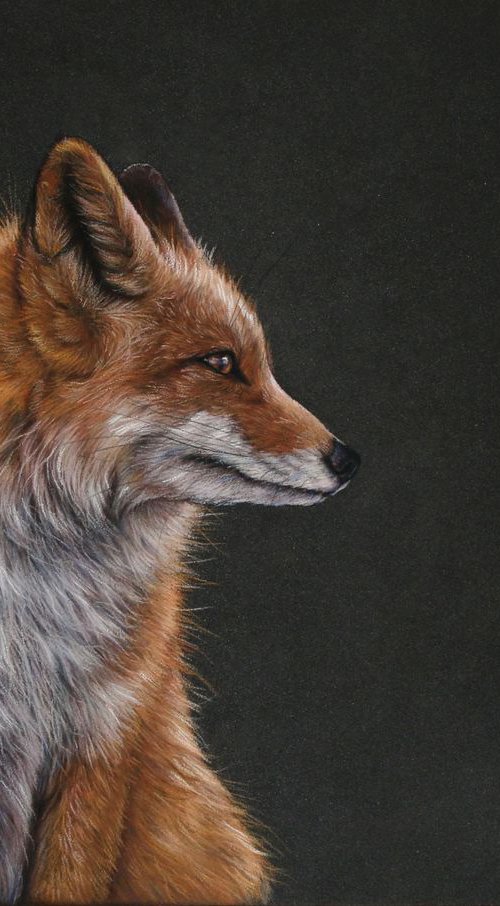 Fox portrait by Tatjana Bril