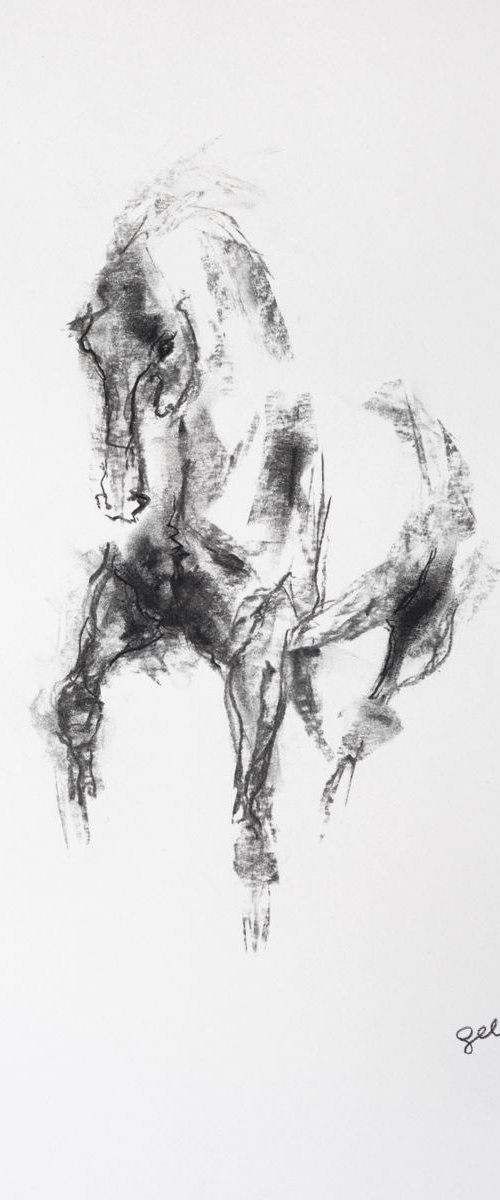 Equine Nude 6p by Benedicte Gele