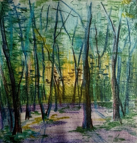 Soft Dusk, Highgate Wood