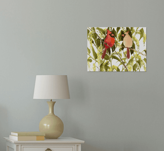 Cardinal Birds