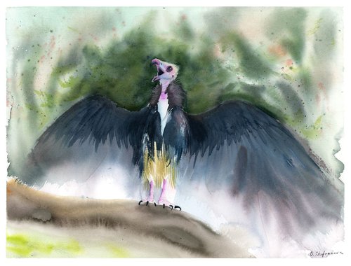 Vulture Bird of prey by Olga Shefranov (Tchefranov)
