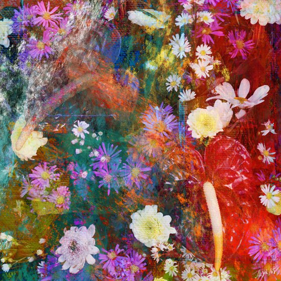 Orchids and Dasies