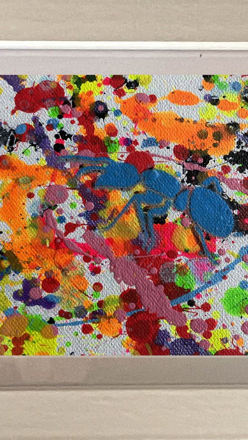 Insects 008 by Juan Jose Garay