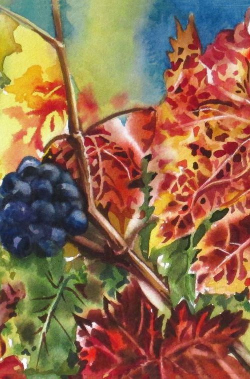 a painting a day #29 "wild grapes" by Alfred  Ng