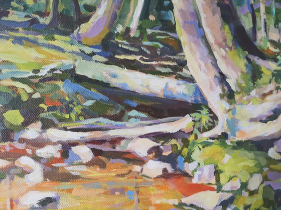 Sunny stream 2