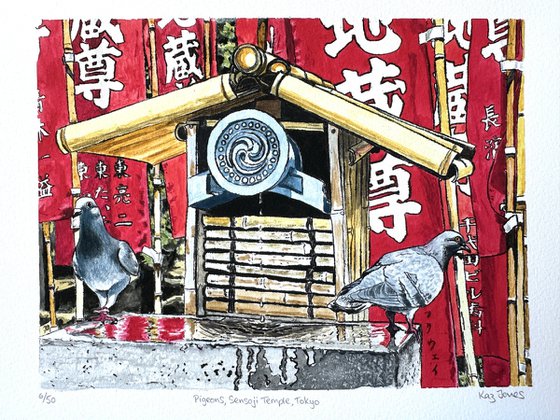 Pigeons, Sensoji Temple, Tokyo