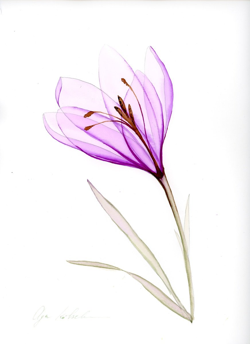 Illustrative Botanical Watercolour By Olga Koelsch, 9 X 12", Transparent Purple Crocus, Original Artwork