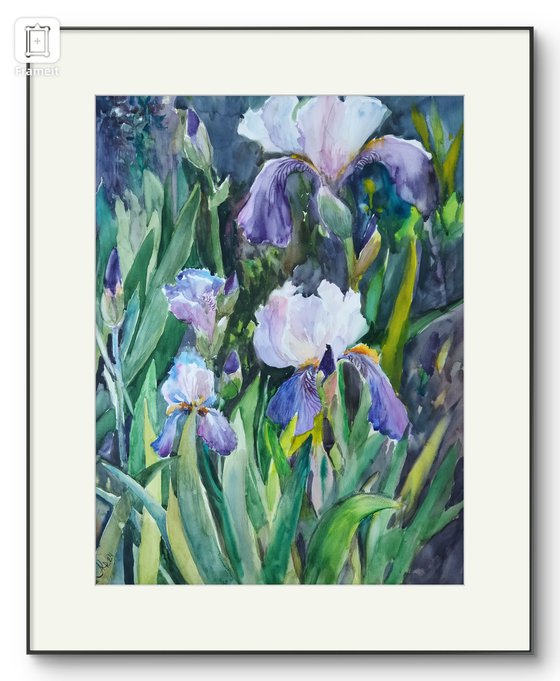 Charming irises