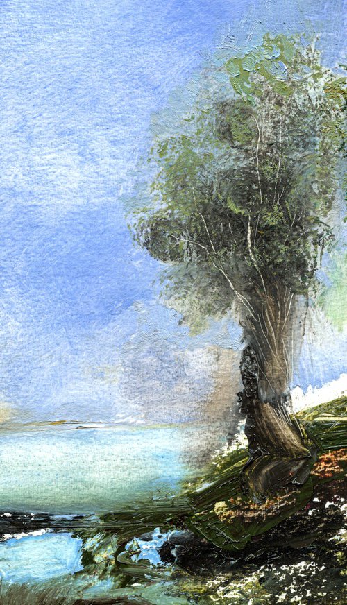 THE LOST POND by Elizabeth Anne Fox